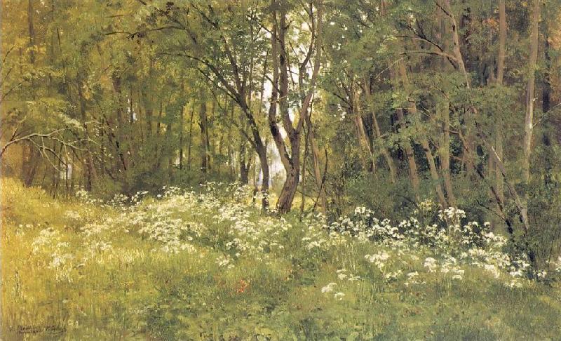 Ivan Shishkin Flowers on the Edge of a Wood Spain oil painting art